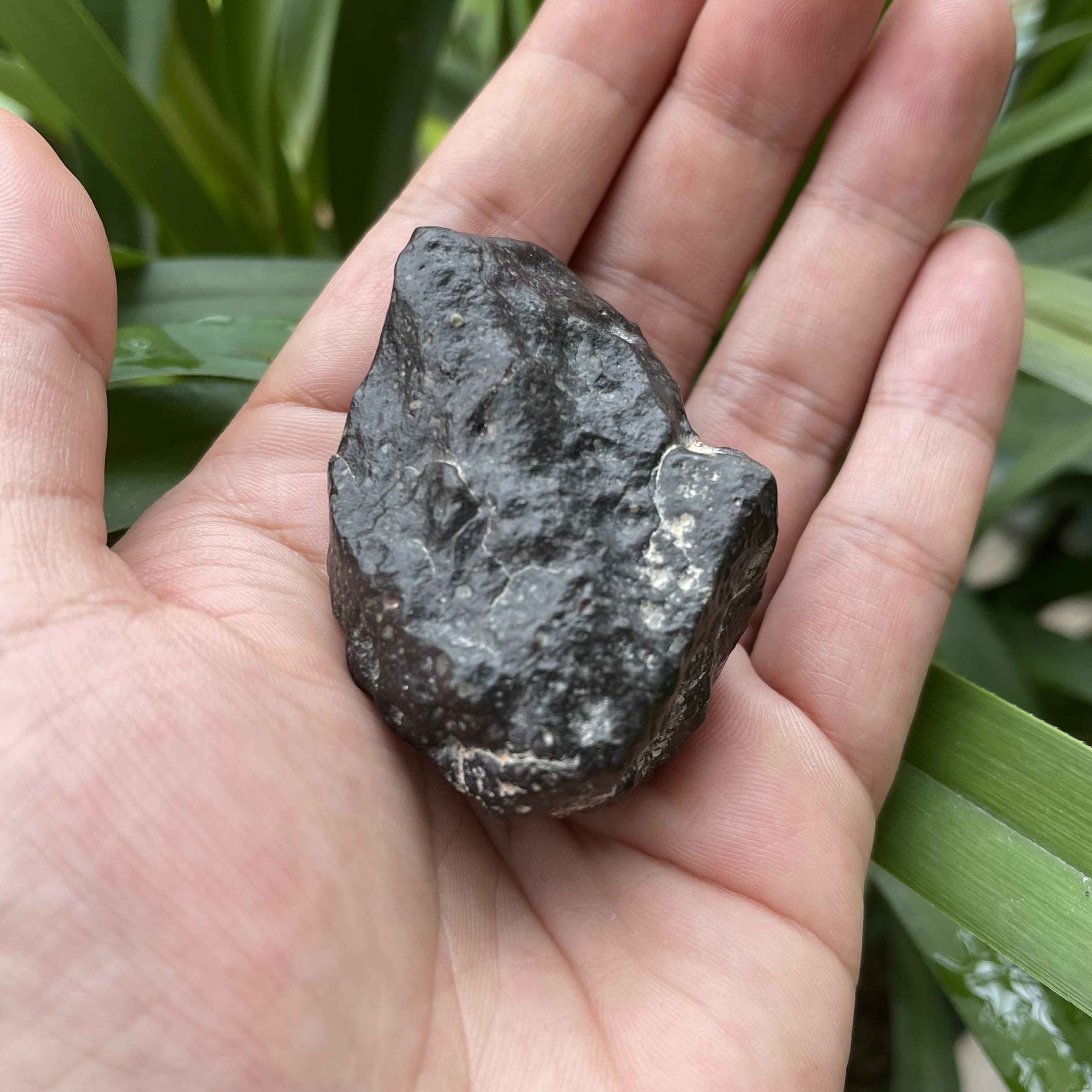 罕见Rumuruti球粒陨石