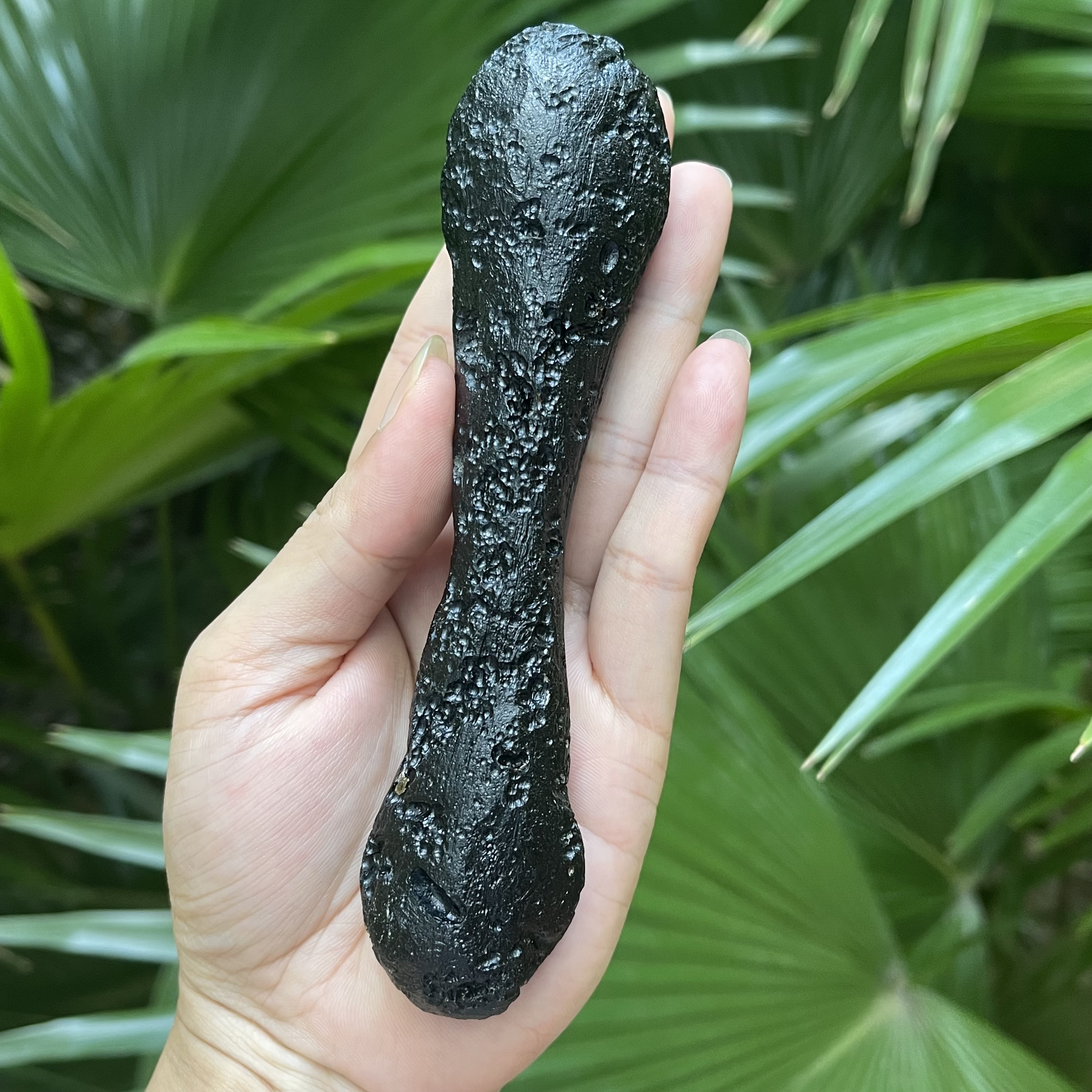 罕见哑铃状大长条玻璃陨石雷公墨